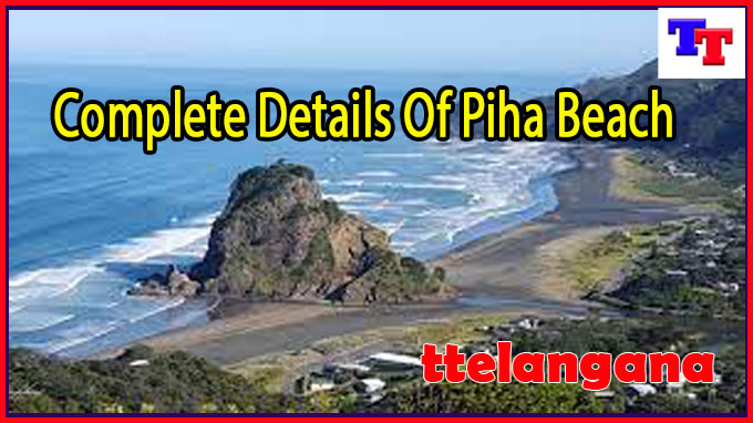 Complete Details Of Piha Beach
