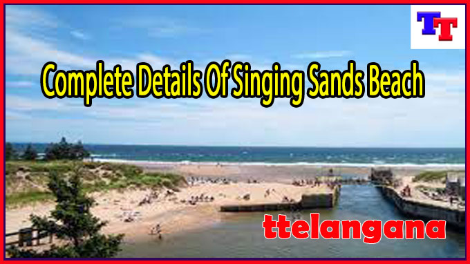Complete Details Of Singing Sands Beach