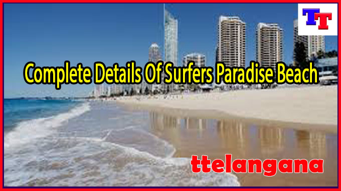 Complete Details Of Surfers Paradise Beach