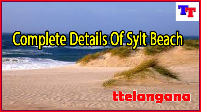 Complete Details Of Sylt Beach