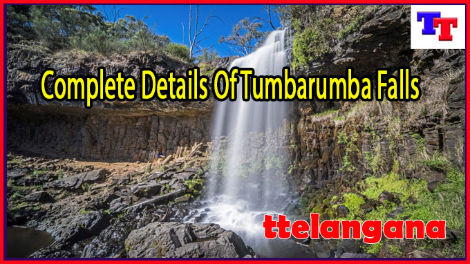 Complete Details Of Tumbarumba Falls
