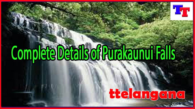 Complete Details of Purakaunui Falls