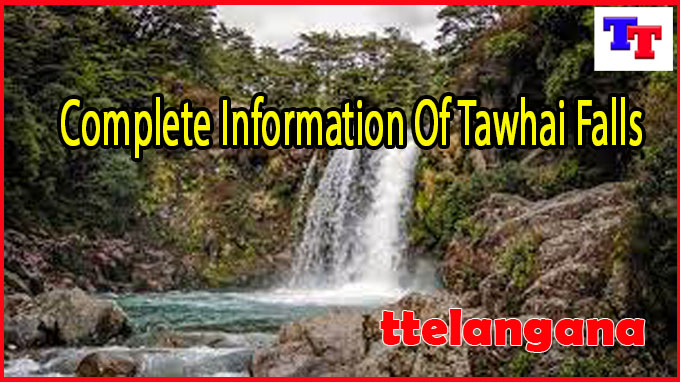 Complete Information Of Tawhai Falls