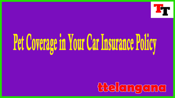 Pet Coverage in Your Car Insurance Policy