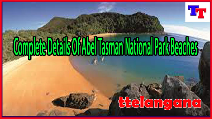 Complete Details Of Abel Tasman National Park Beaches
