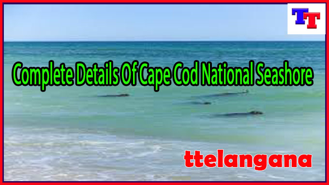 Complete Details Of Cape Cod National Seashore