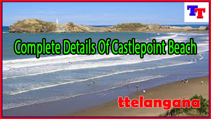 Complete Details Of Castlepoint Beach