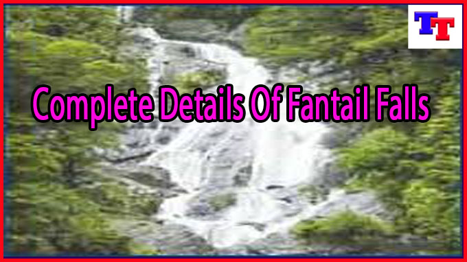 Complete Details Of Fantail Falls