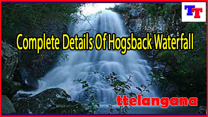 Complete Details Of Hogsback Waterfall