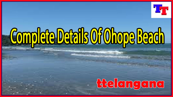 Complete Details Of Ohope Beach
