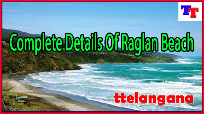 Complete Details Of Raglan Beach