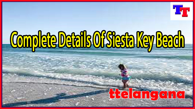 Complete Details Of Siesta Key Beach