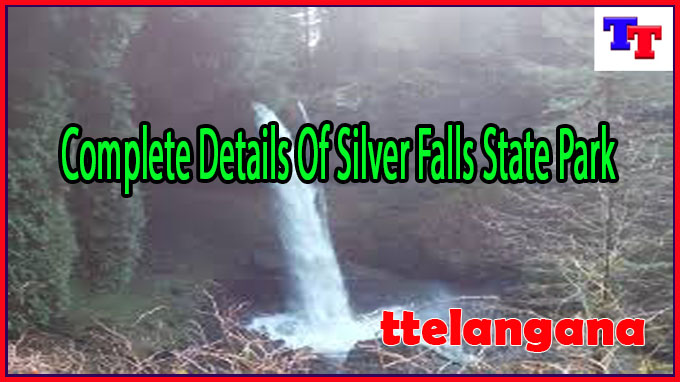 Complete Details Of Silver Falls State Park