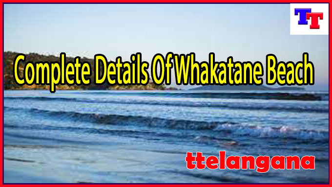Complete Details Of Whakatane Beach