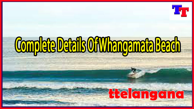 Complete Details Of Whangamata Beach